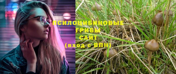 амф Лабытнанги