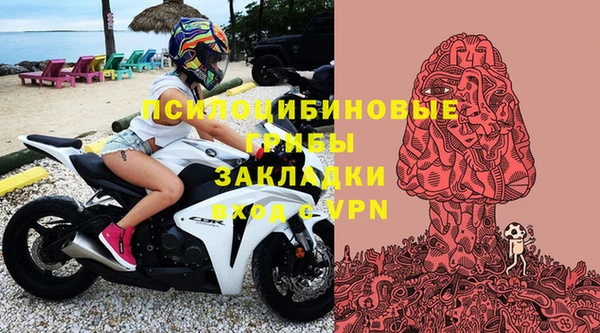 соль ск Ладушкин