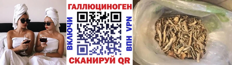 Купить  Нурлат  Псилоцибиновые грибы мицелий 